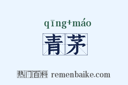 青茅是什么意思的图片